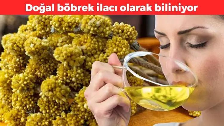 Dağda kendiliğinden yetişiyor Çayını yapıp bardak bardak için: Böbrekleri diyalizin pençesinden kurtarıyor, safra salgısını artırıyor