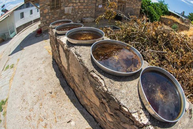 Demir depolarını zirveye taşıyor Kaşık kaşık yiyince kemikleri betona çevirip anemi riskini engelliyor, kan şekerini dengeliyor