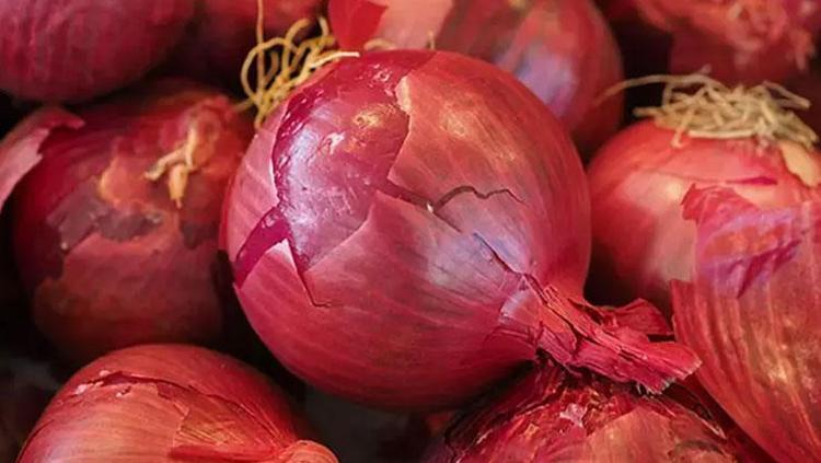QUERCETIN GÜCÜ: BAĞIŞIKLIK SİSTEMİNE DOĞAL DESTEK