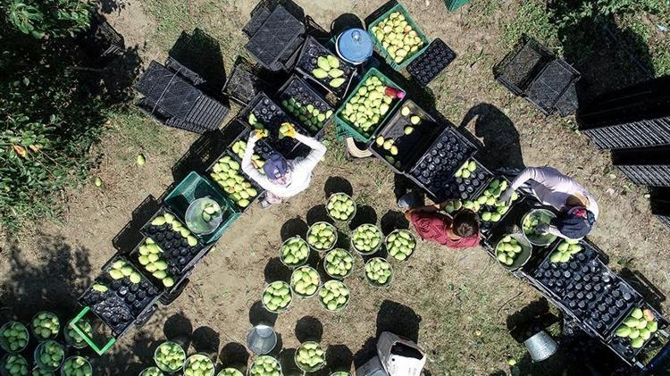 LİF ZENGİNLİĞİYLE SİNDİRİMİ DESTEKLER