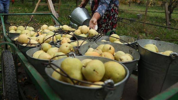 ANTİOKSİDANLARLA HÜCRE KORUMASI SAĞLAR