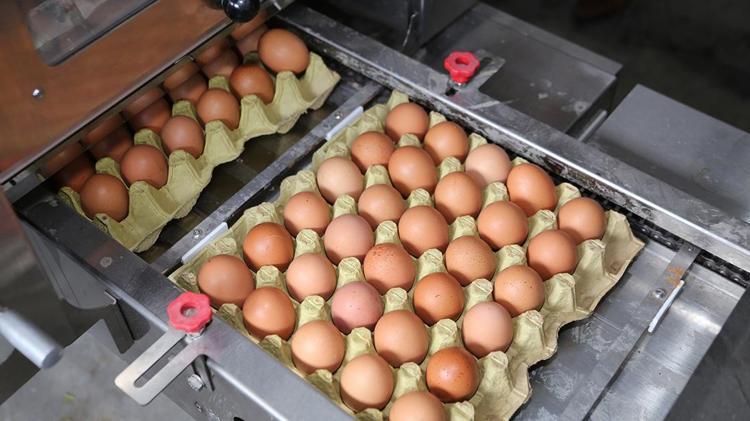 B12 eksikliği çekenlere müjde Bu doğal kaynak ilaç gibi geliyor