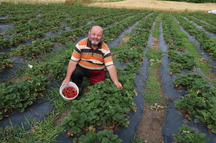 KALP SAĞLIĞINI DESTEKLER