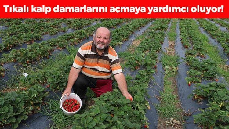 Süper gıda olarak da biliniyor Tıkalı kalp damarlarını yağ çözücü gibi açıyor, erkenden yaşlanmayı engelliyor