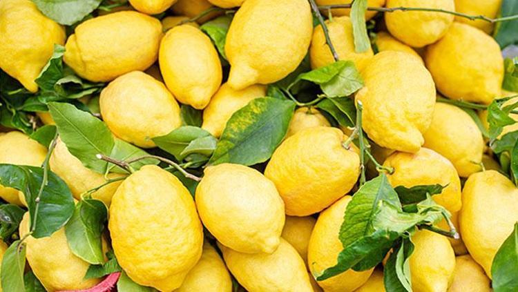 MAKİNE İÇİNDEKİ YAĞ TABAKASINI ÇÖZER