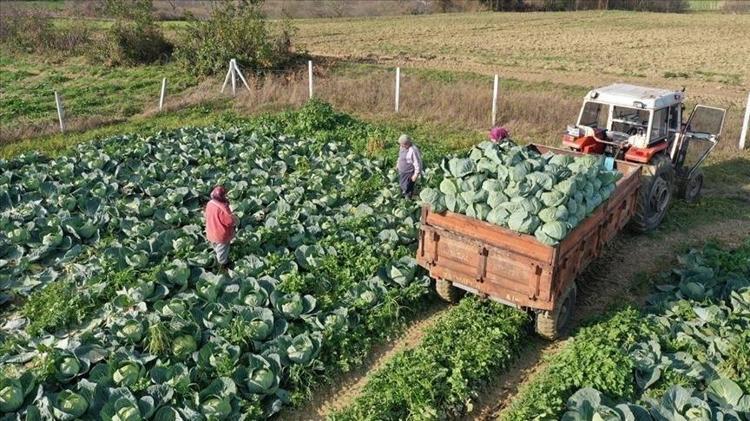NÖROLOJİK HASTALIKLARA KARŞI KORUYUCUDUR