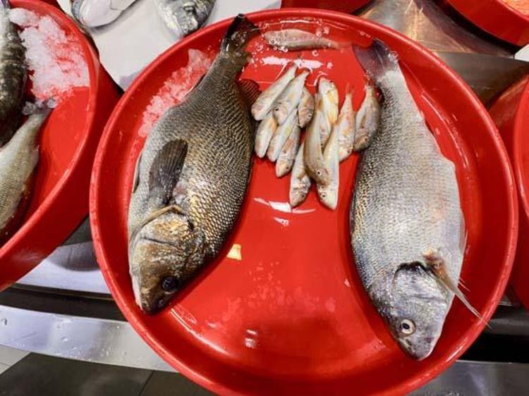 Tezgahta kilosu 200 TLden kapış kapış satılıyor Tıkalı damarları yağ çözücü gibi açıp kemikleri betona çeviriyor, D vitamini ve B12 depolarını fullüyor