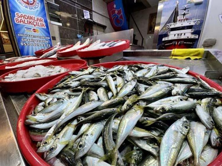 Tezgahta kilosu 200 TLden kapış kapış satılıyor Tıkalı damarları yağ çözücü gibi açıp kemikleri betona çeviriyor, D vitamini ve B12 depolarını fullüyor