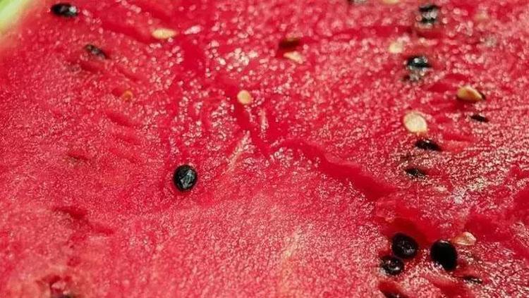 KARPUN ÇEKİRDEĞİ ÇİNKO KAYNAĞI OLARAK NASIL KULLANILIR