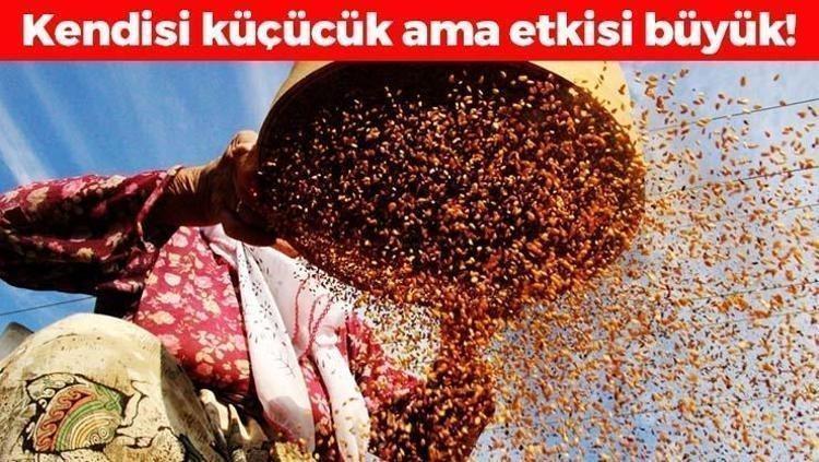 İnek sütünden 10 kat daha faydalı Kemikleri betona çeviriyor, tıkalı damarları yağ çözücü gibi açıp kalsiyum, demir ve magnezyum depolarını fullüyor
