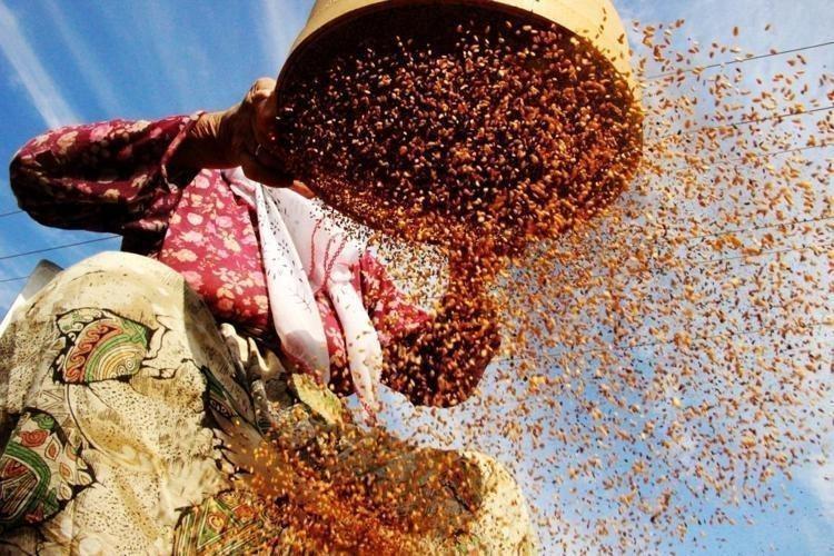 ZENGİN BESİN İÇERİĞİNE SAHİP