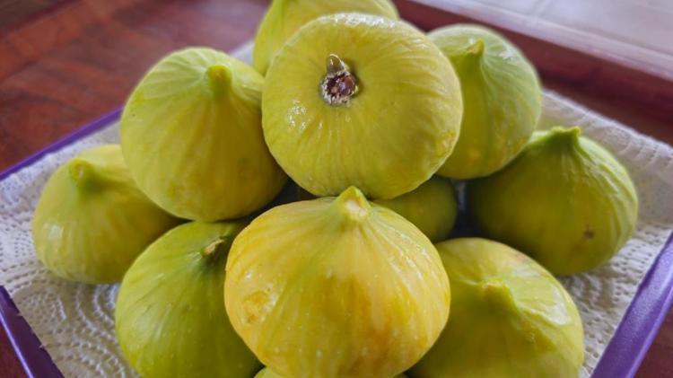 DOĞAL BİR ŞİFA KAYNAĞI