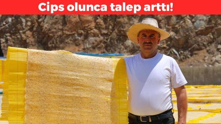 Cips olunca değeri arttı Çorbayken kimse yüzüne bakmıyor: Doğal probiyotik