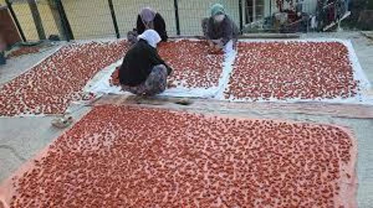 TARHANANIN FAYDALARI NELERDİR