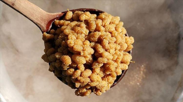 SİNDİRİMİ DESTEKLER, KABIZLIĞI ÖNLER