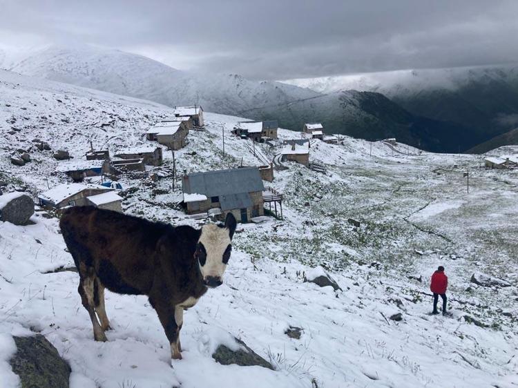 Kar yağışları 5 şehirde yaşayanlara sürpriz yaşattı Rize, Trabzon, Bayburt, Gümüşhane ve Erzurum beyaza büründü
