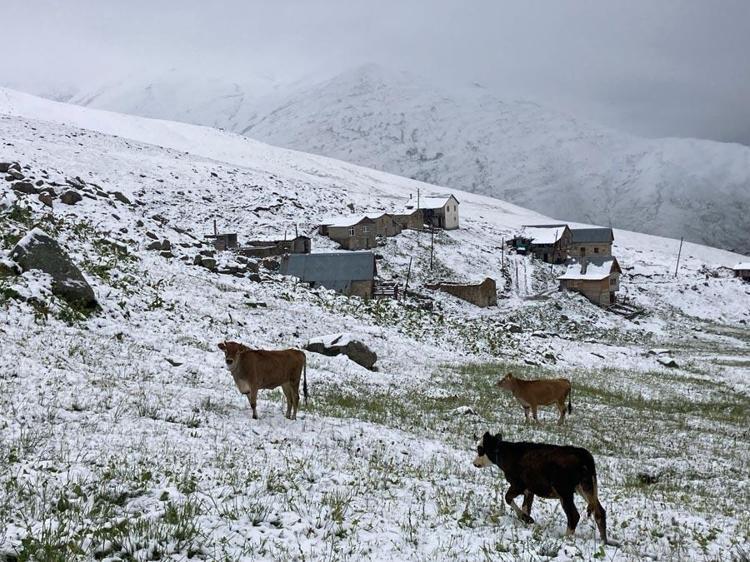 Kar yağışları 5 şehirde yaşayanlara sürpriz yaşattı Rize, Trabzon, Bayburt, Gümüşhane ve Erzurum beyaza büründü