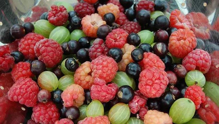 FLAVONOİD ÇEŞİTLİLİĞİ SAĞLIĞA NASIL YARAR SAĞLIYOR