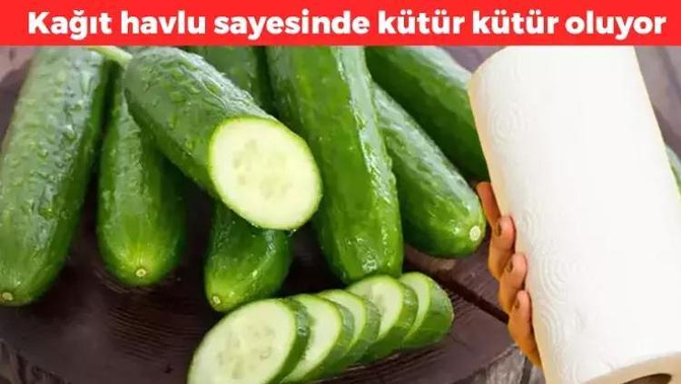 Saatler içerisinde kütür kütür yapıyor Salatalıkların yumuşayıp çürümesini engelliyor: Sadece kağıt havlu kullanmak yeterli