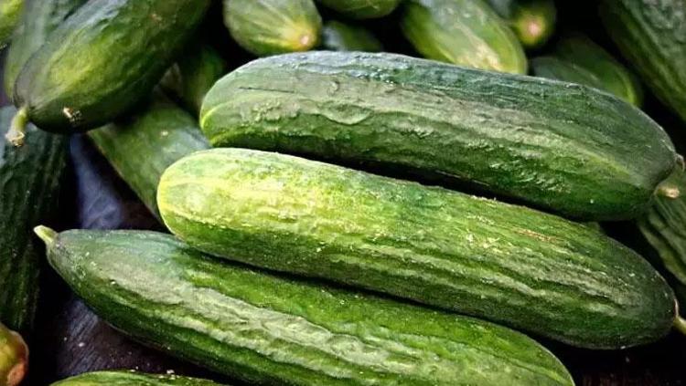 UZUN SÜRE TAZELİĞİNİ KORUMAK İÇİN ALTIN KURALLAR