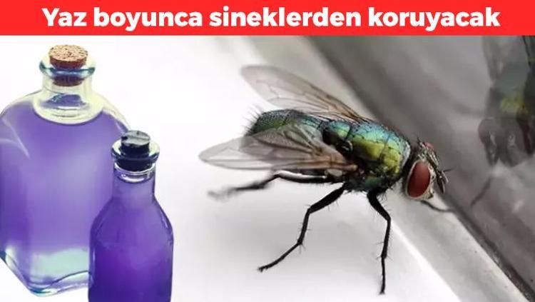 Kıyafetlere birer damla yetiyor Sinekler yakınınızdan bile geçmeyecek: Gün boyunca misler gibi kokacaksınız
