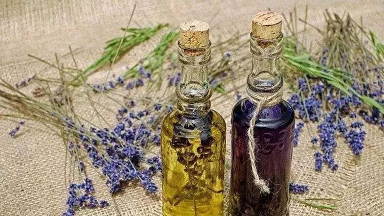 Kıyafetlere birer damla yetiyor Sinekler yakınınızdan bile geçmeyecek: Gün boyunca misler gibi kokacaksınız
