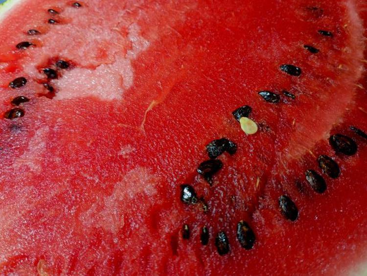 ELMA, ARMUT VE KARPUZ ÇEKİRDEKLERİNE DİKKAT