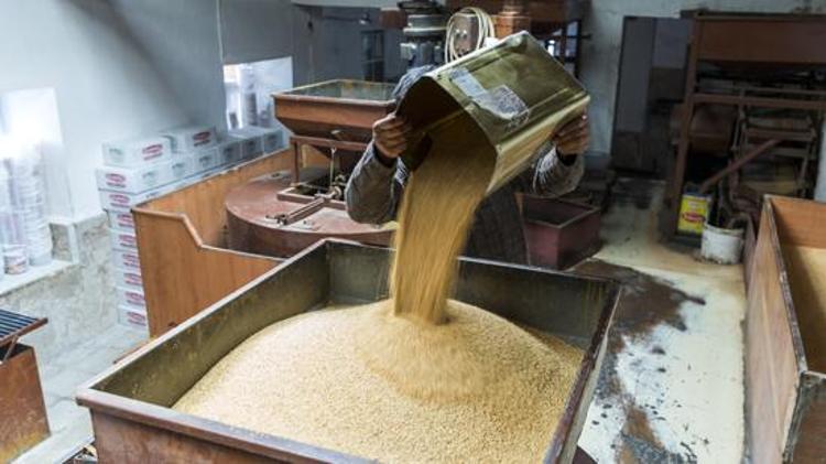 KEMİKLERİ GÜÇLENDİRİR, KALSİYUM KAYNAĞIDIR