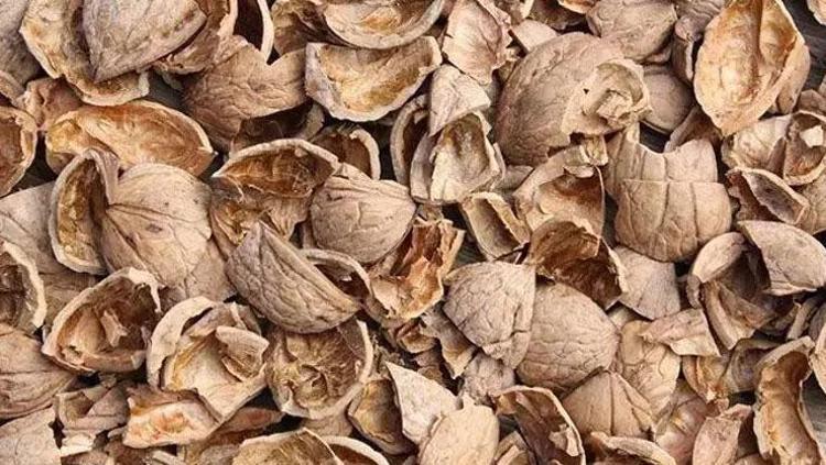 CEVİZ KABUĞU KÜRÜNÜN DİĞER FAYDALARI