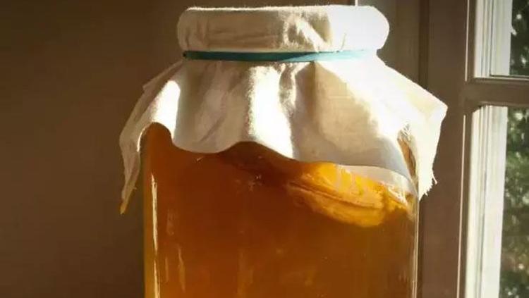 KOMBUCHA