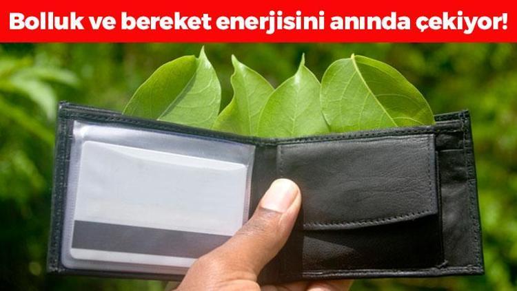 Cüzdanın içine 1 parça koyun Bolluk, bereket ve parayı mıknatıs gibi çekiyor, zenginliğin anahtarı onda saklıymış