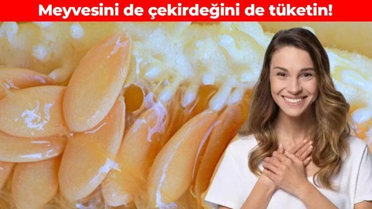 İster kavurun ister çayını demleyin Meyvesi kadar çekirdeği de faydalıymış: Bağırsakları motor gibi çalıştırıyor