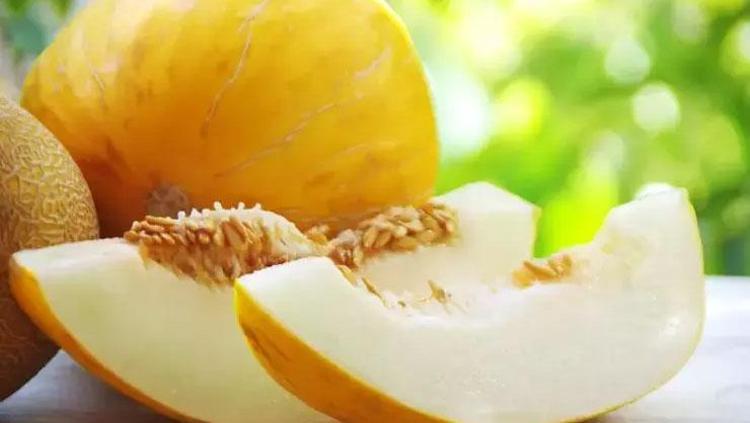 KAVUN ÇEKİRDEĞİ SÜTÜ: LAKTOZSUZ BESLENMEYE ALTERNATİF