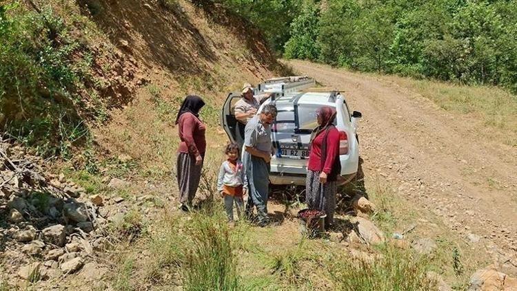 Konyada hüzünlü hasat vakti, kilosu 300 TLden satılıyor: İltihabı kurutup tıkalı damarları yağ sökücü gibi açıyor, kolesterolü silip atıyor