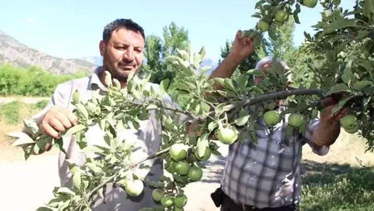 Bahçeye giren şaşırıyor Dua etti, sabaha kadar suladı Her şey para değil