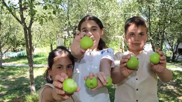 20 TON ELMA VAR. ÇOCUKLAR DALINDA YESİN DİYE SATMIYORUM
