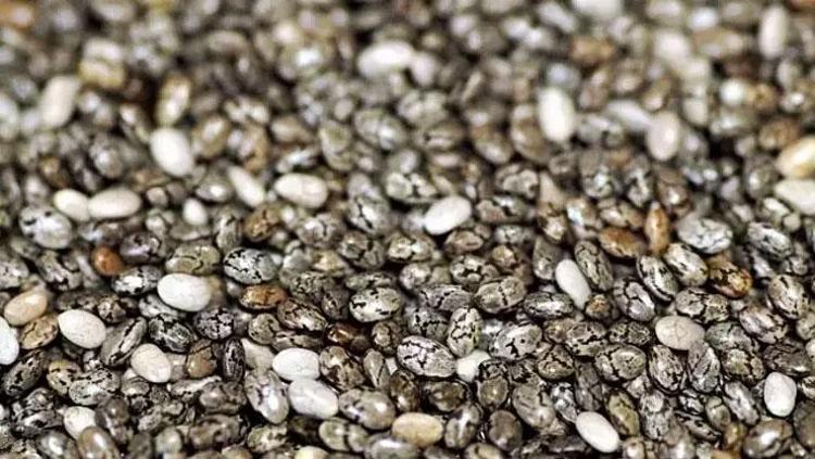 CHIA TOHUMU: TOKLUK HİSSİ SAĞLAYAN OMEGA 3 DEPOSU