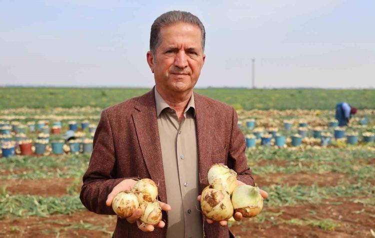 Depolarda 50 bin ton kışlık soğan var