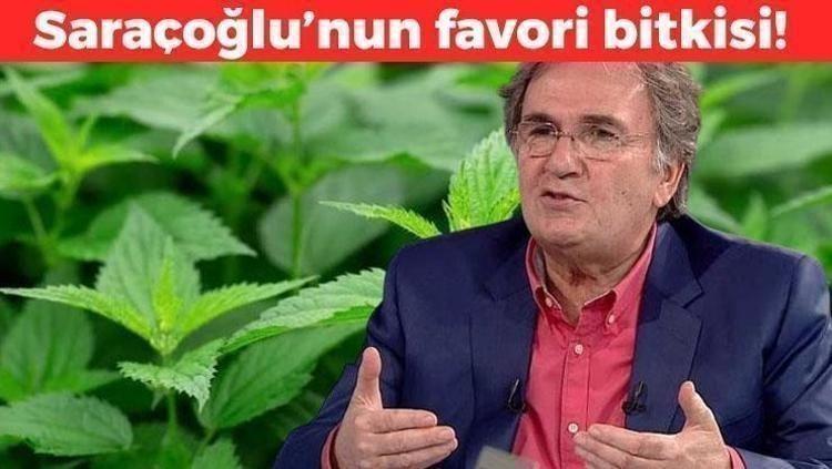 İbrahim Saraçoğlunun da favori besini Çayını yapıp bardak bardak için: Portakaldan 7 kat fazla C vitamini içeriyor, kabızlığa ve basura en doğal çare