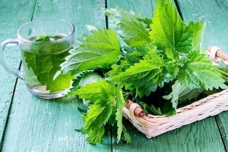 KEMİK SAĞLIĞINI DESTEKLER