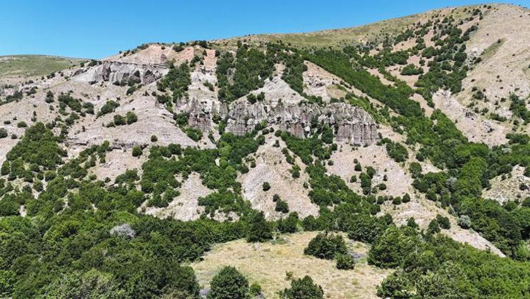 Sivasta görenler hayrete düşüyor Hikayesini duyan kulaklarına inanamıyor: Meğer gelin olmak istemeyen genç kızın dileğiymiş
