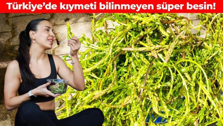 Yeşil mucize olarak da biliniyor Damarları çamaşır suyuyla temizlenmiş gibi yapıyor: A, C, E ve K vitamini deposu süper besin