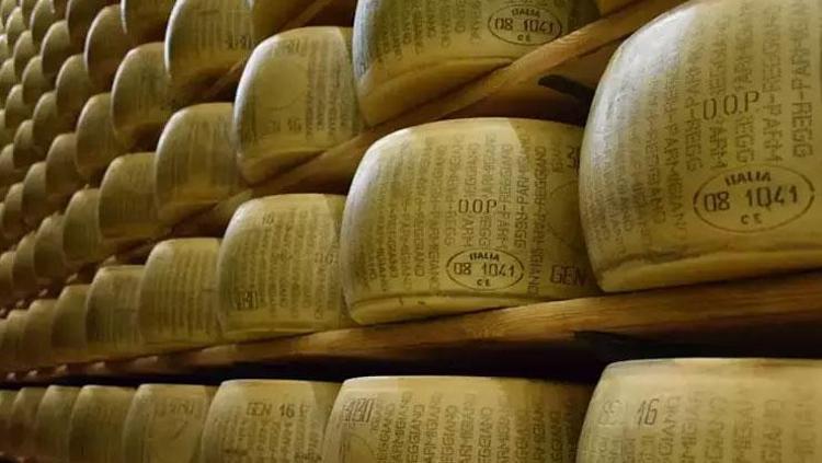 Dünyanın en sağlıklı peyniri Kalsiyum ihtiyacının yüzde 100ünü karşılıyor: Kemiklere çelik gibi güç kazandırıyor