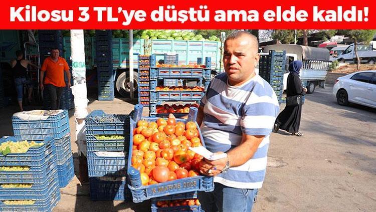 Kilosu 3 TLye düştü Erken hasat edilen besinde salça dönemi krizi: Suyunu sıkıp içince kolesterolü damardan kazıyor, doğanın C vitamini kralı