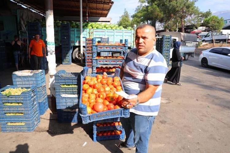 DOMATESİN FİYATI DÜŞTÜ, İLGİ YOK