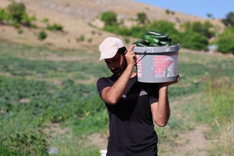 14 yıldır tarladan sofraya: Hal fiyatına organik satıyorlar Fiyatı pazardan daha uygun, hücre hasarını onarıp vücutta doğal detoks etkisi yaratıyor