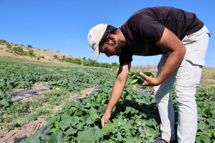 TARLADAN EDİNDİĞİM GELİRLE 3 ÇOCUK OKUTTUM