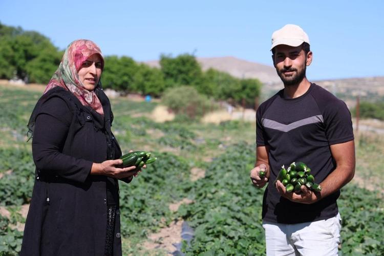 14 yıldır tarladan sofraya: Hal fiyatına organik satıyorlar Fiyatı pazardan daha uygun, hücre hasarını onarıp vücutta doğal detoks etkisi yaratıyor