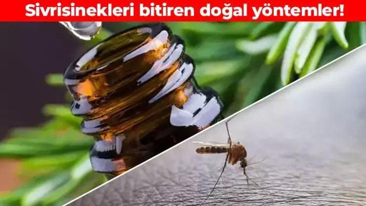 Sıcak havalarda sivrisineğin kökünü kazıyor 12 saate kadar yüzde 100 koruma sağlıyor