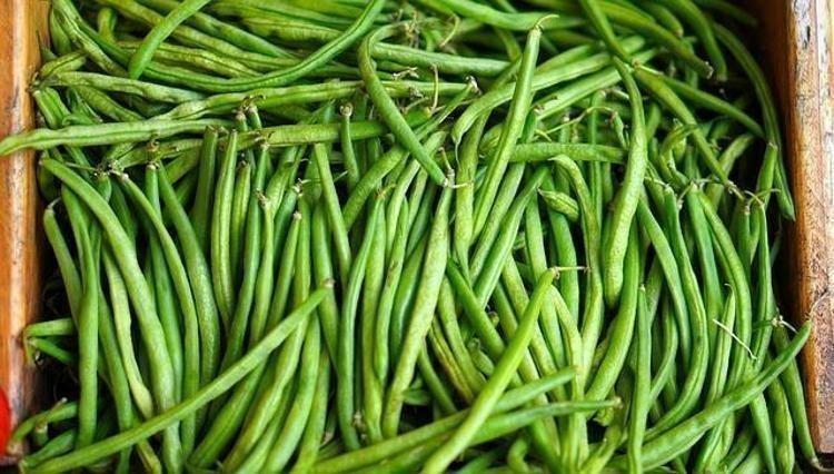 GÖZLERİ ŞAHİN GİBİ YAPAR